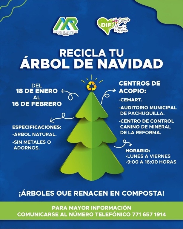 En Mineral de la Reforma invitan a la ciudadanía a “Reciclar el Árbol de Navidad ”