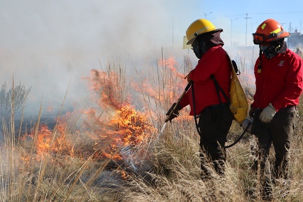 Inician líneas negras para evitar incendios forestales