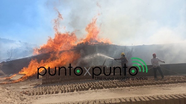 Fuego arrasa con 30 hectáreas de pastizales en Tepeji