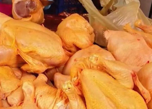 SSH emite recomendaciones a la población para la compra de pollo para consumo humano