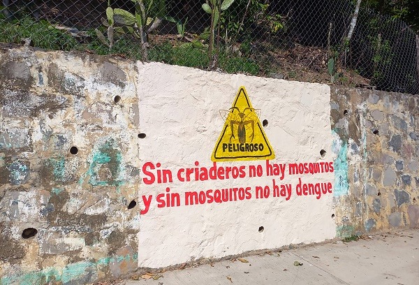 SSH reporta 6 casos de dengue en Hidalgo