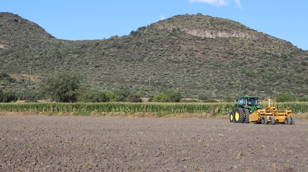 Gobierno de Hidalgo pionero en el desarrollo de aplicación digital