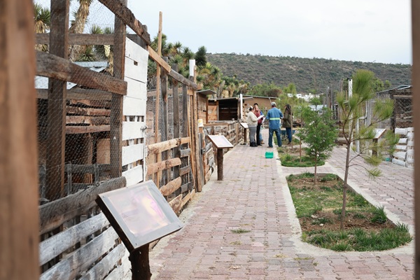 Promueve Semarnath el cuidado y respeto a los animales en la “GranjAventura” del Parque Ecológico Cubitos
