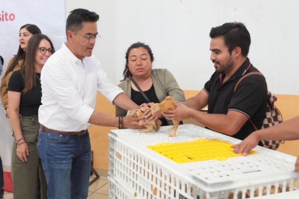 Fortalece Eduardo Medécigo economía familiar, entrega paquetes del programa aves para el pueblo