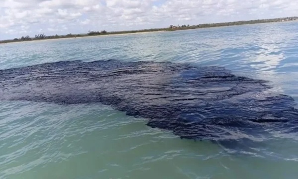 Greenpeace denuncia a Pemex y ASEA por derrame de hidrocarburos en el Golfo de México