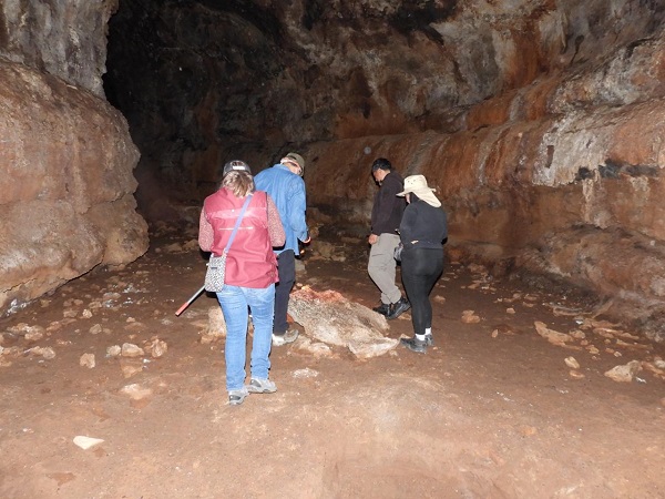 Localizan en Cuautepec cueva de murciélagos