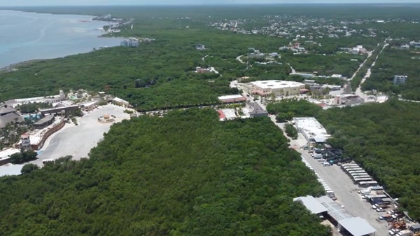 ‘Perfect Day’: La amenaza de Royal Caribbean al ecosistema de Mahahual