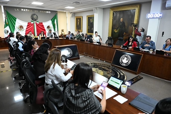 Con iniciativa, diputada propone crear el Registro Estatal de Abuso y Negligencia Infantil