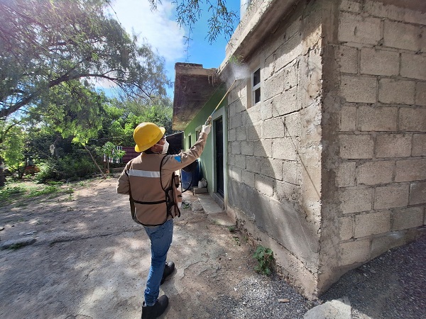 Fortalece Hidalgo acciones contra el dengue y reduce 88.5 % los casos