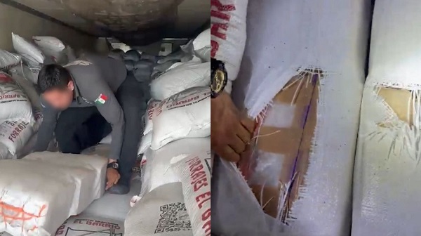 Aseguran tres toneladas de metanfetamina en costales de alimento para ganado en Sonora