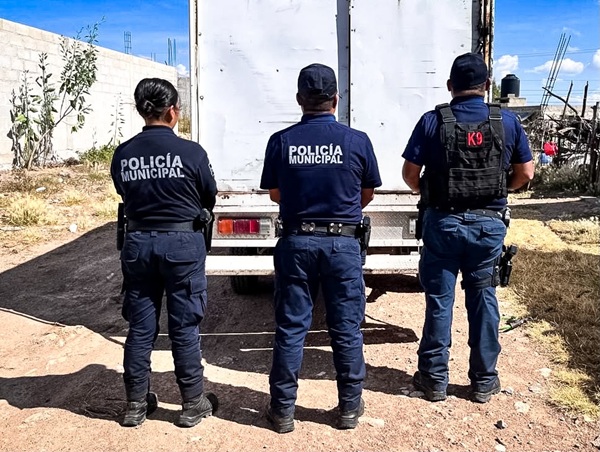 Rescatan a cuatro perros durante operativo contra presunto maltrato animal en Pachuca