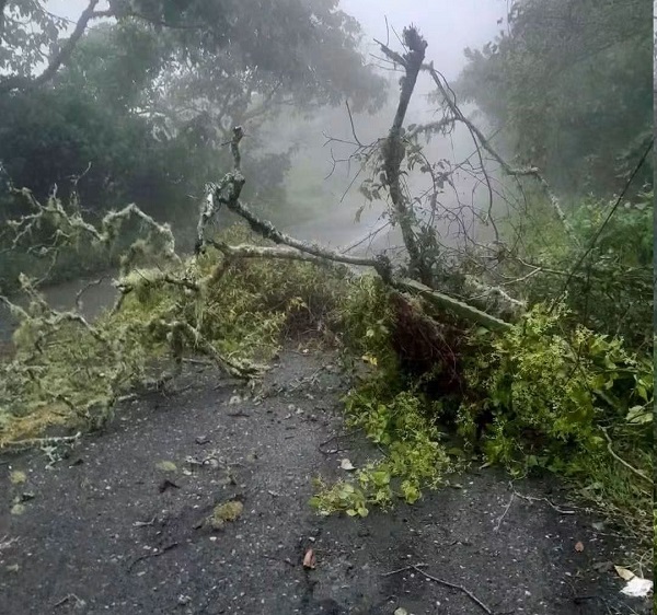 Lluvias interrumpen caminos y dejan incomunicadas a comunidades de la Sierra hidalguense